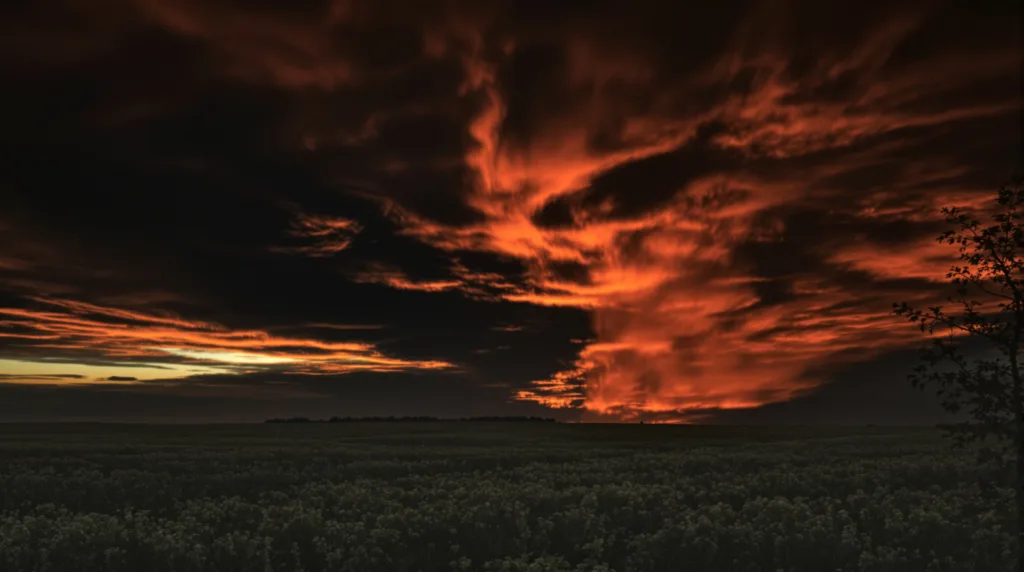 entdecken sie effektive übungen für bauch und taille ohne crunches und planks. formen sie ihre körpermitte perfekt mit gezielten trainingsmethoden.