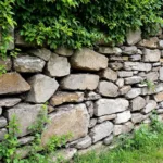 erfahre, warum deine trockenmauer nach nur 2 jahren zusammenfällt und wie du die stabilität langfristig sicherstellen kannst.