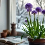 entdecke, warum deine zwiebelblumen im topf den ganzen winter über blühen und wie du sie richtig pflegst, um eine lange blütezeit zu gewährleisten.